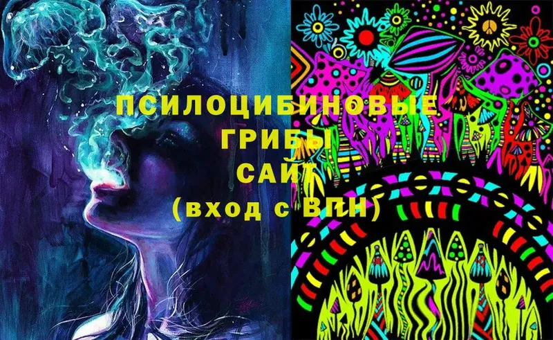 кракен ТОР  Мичуринск  Галлюциногенные грибы Psilocybe 